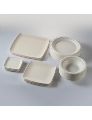 Plato cuadrado caña de azucar.