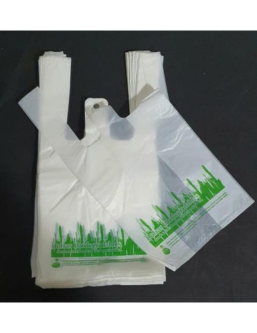 Bolsa Biodegradable.25X30...